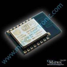 ESP8266-12E 